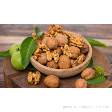 Ginseng Oligopeptide best quality Walnut peptide powder Manufactory